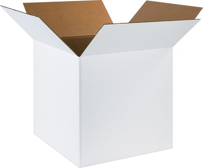 20 x 20 x 20 Shipping Boxes, 32 ECT, White, 10/Bundle (202020W)