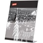 Staples Sign Holder, 8.5" x 11", Clear Plastic (53126/18387)