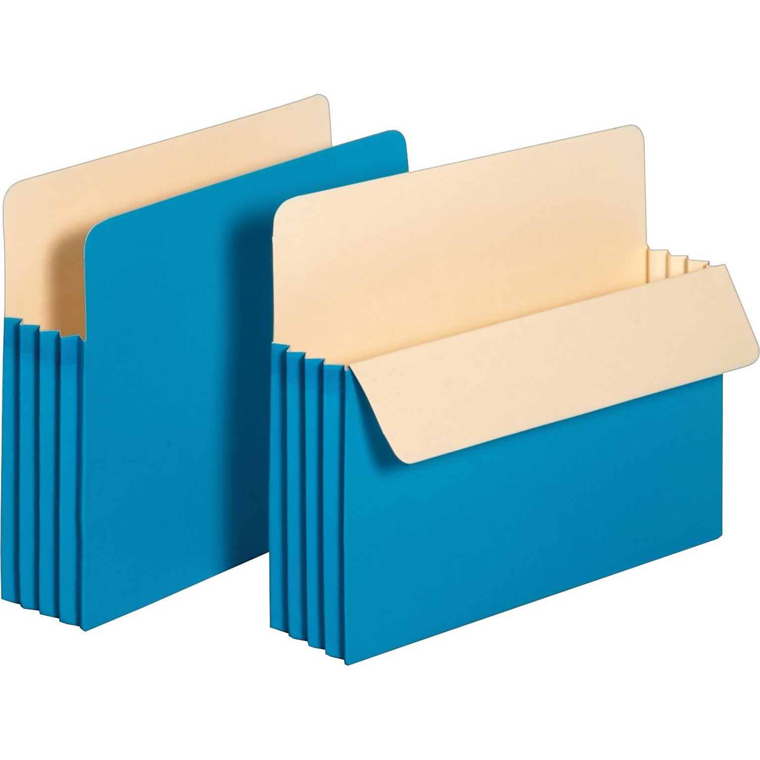 Pendaflex Reinforced File Pocket, 3 1/2 Expansion, Letter Size, Blue (1524EBLU)