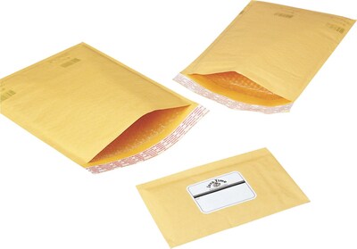 Polyair Ecolite #000 Mailer, 3.75" X 6.25", 500/CT (76-000RC)