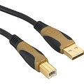 Staples Brand USB Cables; Gold USB 2.0, 7