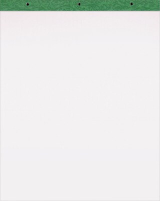 Evidence Easel Pad, 20 x 25.5, 50 Sheets/Pad, 2 Pads/Carton (24-038)