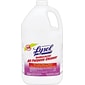 Professional Lysol® Antibacterial All Purpose Cleaner, 1 Gallon, 4/Carton (74392)