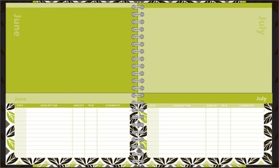 Day Runner Home Finances 9 x 11 Calendar Year Monthly Planner, Paperboard Cover, Multicolor (854-4