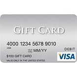 Visa® $100 Gift Card