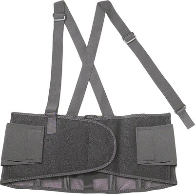 Ergodyne ProFlex® 100 Economy Back Support, Medium, Black