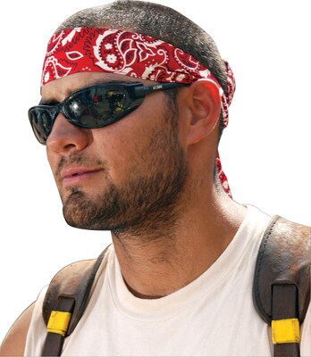 Ergodyne® Chill-Its® Bandana/Headband, Cotton, One Size, Tie,  Red Western, 24/Pack