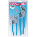 Channellock® 2 Pieces Tongue and Groove Straight Jaw Plier Set