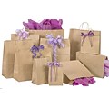 Shamrock Natural Kraft Shopping Bags, Size 8 W x 4-3/4 D x 10-1/2 H