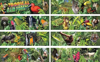 Mark Twain Tropical Rain Forest Bulletin Board Set