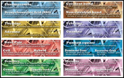 Mark Twain DNA Vocabulary Bulletin Board Set