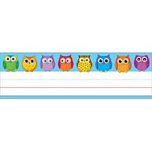 Carson-Dellosa Colorful Owls Nameplates