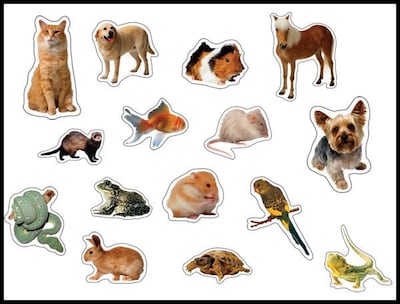 Carson-Dellosa Pets Photographic Shape Stickers