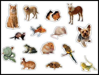 Carson-Dellosa Pets Photographic Shape Stickers