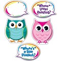 Carson-Dellosa Colorful Owl Talkers Bulletin Board Set