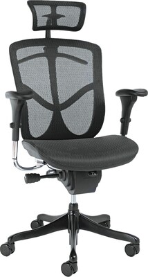 Alera™ EQ Series Ergonomic Multifunctional Chairs; High Back, Black Base