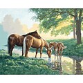 Dimensions Paint By Number Kit, 20 x 16, Horses By A Stream