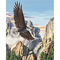 Dimensions Paint By Number Kit, 16 x 20, Soaring Eagle (91301)