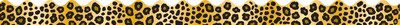 Carson-Dellosa 36 x 2.25 Scalloped, Leopard Print Borders 13 Strips (1242)