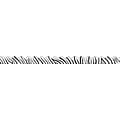 Carson-Dellosa 36 x 2.25 Scalloped, Zebra Print Borders 13 Strips (1244)