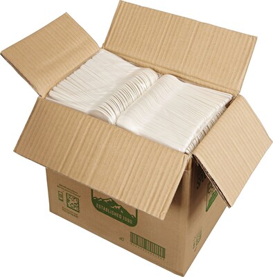 Eco-Products® Plantware® Renewable & Compostable Spoon, Pearl White, 6(L), 1000/Carton