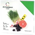American Crafts® Cardstock Pack, 12 x 12, Summer