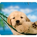 Fellowes Recycled Mouse Pad, Puppy in Hammock (FEL5913901)