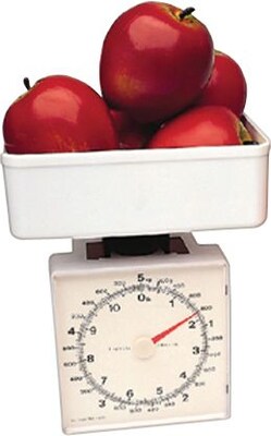 Learning Resources Measuring Tools, Platform Scales, 11 lbs. (LER2345)
