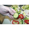 Ambitex® EF6510 Series Latex-Free EconoFit™ Disposable Food Service Gloves, Clear, Medium 100/Bx, 10 Boxes/CT (EFMD6510)
