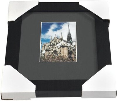 Staples 3.25 x 3.25 Frame Protector, 624 per Case (FR44)