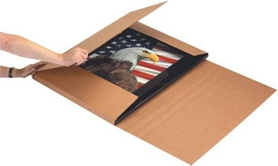 Jumbo Mailers, 20 x 20 x 6, Kraft, 20/Bundle (M20206)