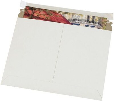 13 1/2 x 11 White Utility Flat Mailer, 200/Case