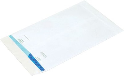 12 x 15 1/2 Flat Ship-Lite® Envelope, 100/Case