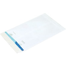 12 x 15 1/2 Flat Ship-Lite® Envelope, 100/Case