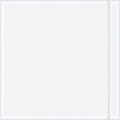 Staples Packing List Envelope, 6 x 6 Resealable, Clear Face, 1000/Case (RCF66)