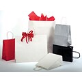 Bonita 8 x 4.75 x 10.5 Paper Shopping Bag - Gloss Colors, Midnight Black