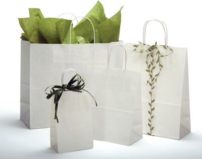 Bonita 5.5 x 3.25 x 8 3/8 Recycled White Kraft Shopper