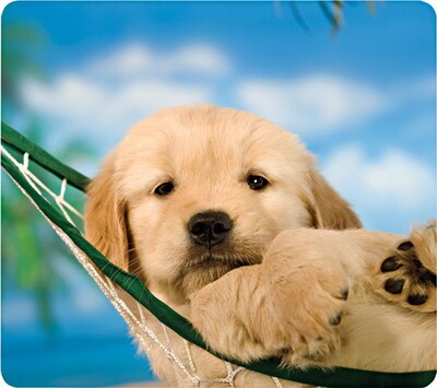 Fellowes Recycled Mouse Pad, Puppy in Hammock (FEL5913901)