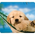 Fellowes Recycled Mouse Pad, Puppy in Hammock (FEL5913901)