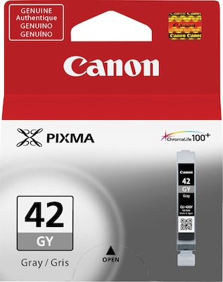 Canon 42 Gray Standard Yield Ink Cartridge (6390B002)
