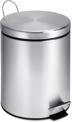 Honey-Can-Do Stainless Steel Round Step Trash Can with Lid, Silver, 1.32 Gallon (TRS-01449)