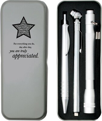 Baudville Silver Tire Gauge, Flashlight and Pen Gift Set, You Are Truly Appreciated, Silver (13915