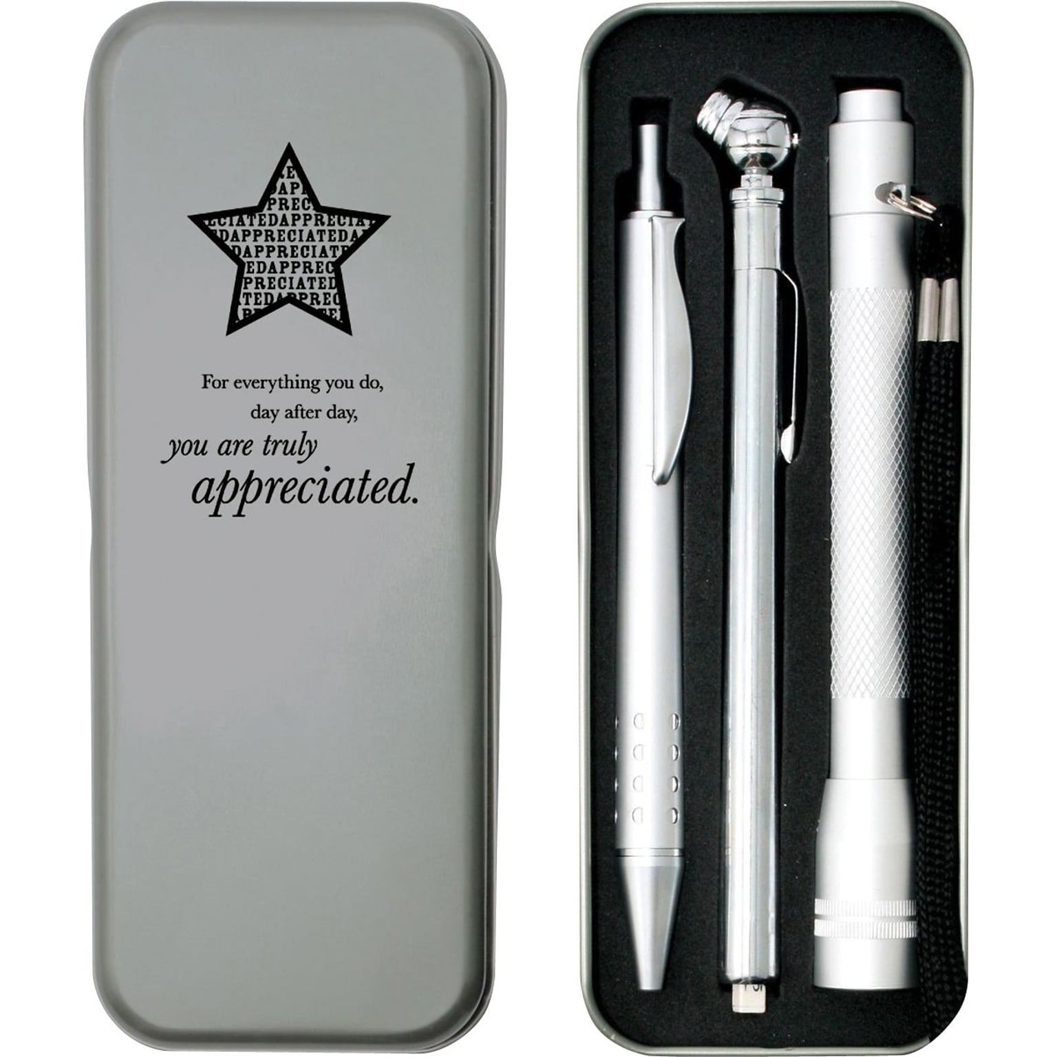 Baudville Silver Tire Gauge, Flashlight and Pen Gift Set, You Are Truly Appreciated, Silver (1391515APP31)