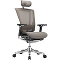 Raynor nefil Pro Smart Motion Mesh Managers Chair with Headrest, 3D Gray