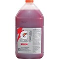 Gatorade® Perform™ G Series Liquid Concentrates, Fruit Punch, 1 Gallon, 4/Case