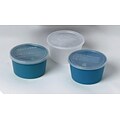 Medline Denture Containers, Aqua, 250/Pack