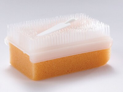 Medline Surgical Scrub Dry Brushes, 30/Box