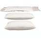 Ovation® Series Pillows, White, 24"L x 18"W, 16 oz, 2/Pack