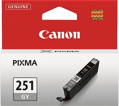 Canon 251 Gray Standard Yield Ink Cartridge  (6517B001)