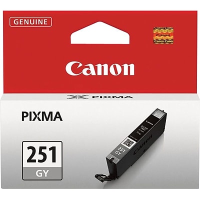 Canon 251 Gray Standard Yield Ink Cartridge (6517B001), Grey | Quill